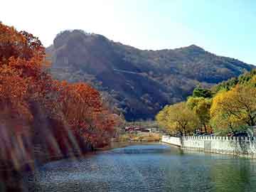 新澳天天开奖资料大全旅游团，三键导电胶